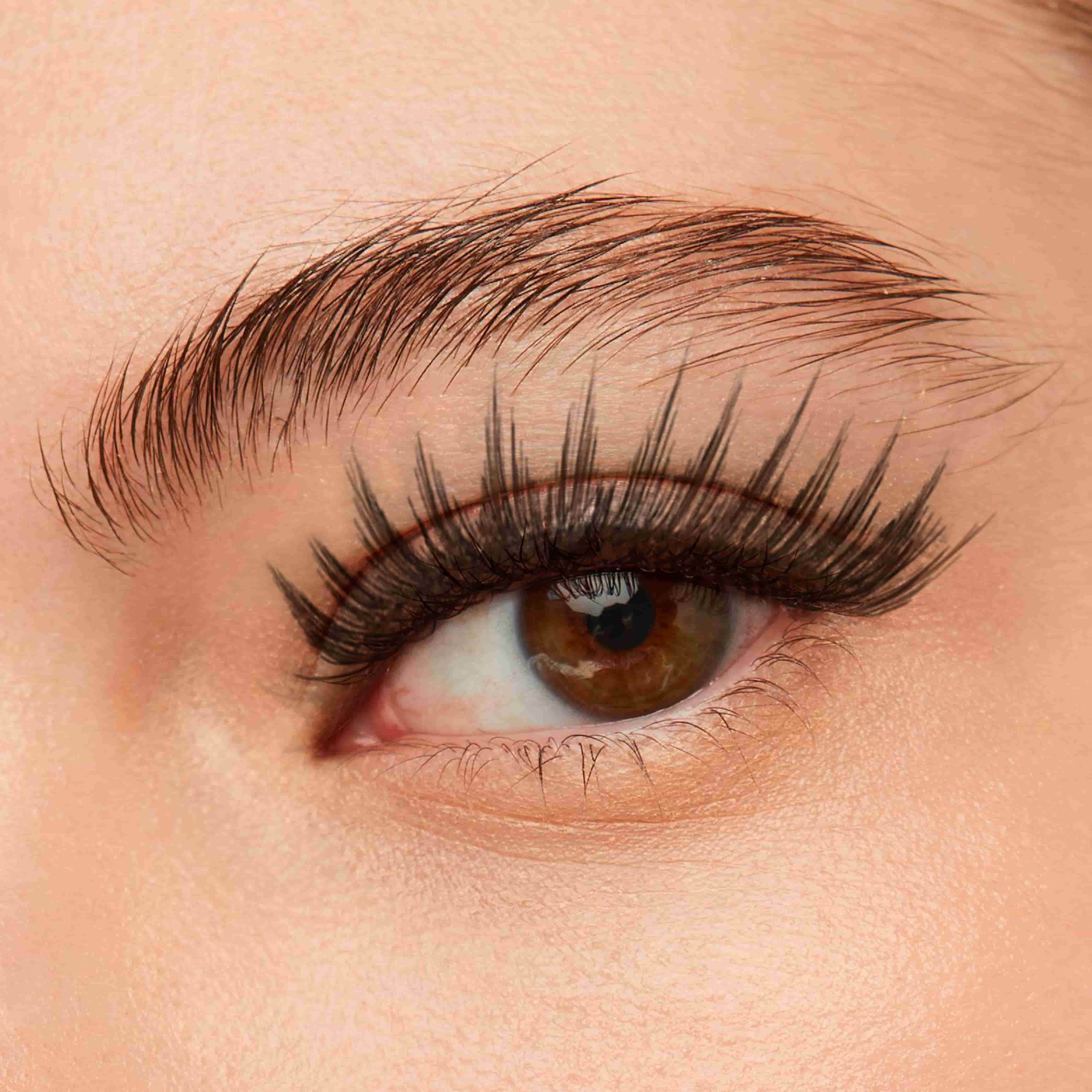 Eyelashes and Eyebrows